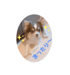 タクの日常パート2（個別スタンプ：14）