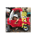 Private Baby stamp 3（個別スタンプ：1）