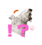 てん犬スタンプ（個別スタンプ：6）