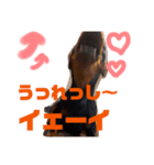 いろんな山下こたろうと愉快な仲間達（個別スタンプ：8）