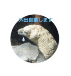 外出自粛（個別スタンプ：4）