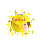HANAchanと仲間達（個別スタンプ：6）