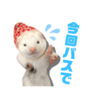 フェレット気分2（個別スタンプ：4）