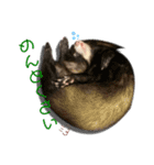 フェレット気分2（個別スタンプ：7）