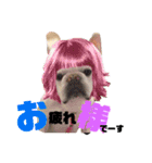 フレブル☆福たん 文字デカver挨拶編（個別スタンプ：1）