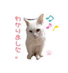 チビの2020（個別スタンプ：4）