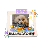 ケロバズ7（個別スタンプ：1）