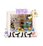 ケロバズ7（個別スタンプ：3）