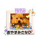 ケロバズ7（個別スタンプ：4）