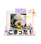 ケロバズ7（個別スタンプ：5）