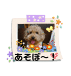 ケロバズ7（個別スタンプ：6）