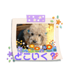 ケロバズ7（個別スタンプ：8）