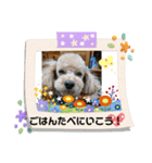 ケロバズ7（個別スタンプ：9）