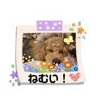 ケロバズ7（個別スタンプ：10）
