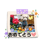 ケロバズ7（個別スタンプ：11）