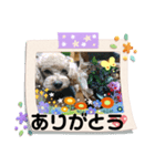 ケロバズ7（個別スタンプ：12）