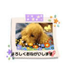 ケロバズ7（個別スタンプ：14）