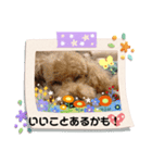 ケロバズ7（個別スタンプ：15）