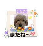 ケロバズ7（個別スタンプ：16）