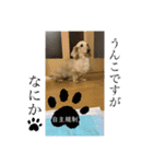 バニラスペシャル（個別スタンプ：3）