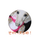 バニラスペシャル（個別スタンプ：7）