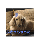 バニラスペシャル（個別スタンプ：9）