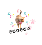 ぼくたちわたしたちマンチカンズ from Kiki（個別スタンプ：3）