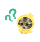 我が家の優ちゃん2♡（個別スタンプ：3）