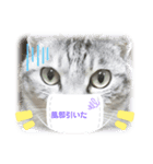 我が家の優ちゃん2♡（個別スタンプ：8）