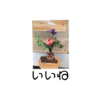 あには（個別スタンプ：6）