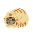 猫のコンタロウとお花のスタンプ（個別スタンプ：1）