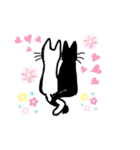 シロとクロの気持ち（個別スタンプ：8）
