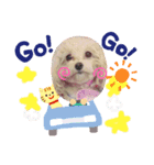 愛しのもかたんたん（個別スタンプ：3）