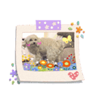 愛しのもかたんたん（個別スタンプ：5）