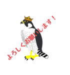猛禽類。（個別スタンプ：5）