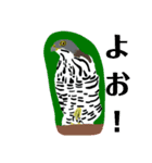 猛禽類。（個別スタンプ：6）