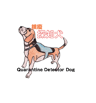 探知犬Quarantine Detector Dog（個別スタンプ：1）
