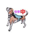 探知犬Quarantine Detector Dog（個別スタンプ：2）