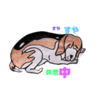 探知犬Quarantine Detector Dog（個別スタンプ：3）
