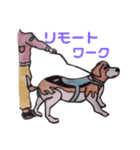 探知犬Quarantine Detector Dog（個別スタンプ：4）