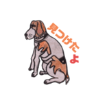 探知犬Quarantine Detector Dog（個別スタンプ：5）