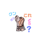 探知犬Quarantine Detector Dog（個別スタンプ：9）