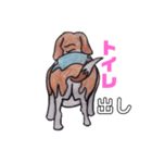 探知犬Quarantine Detector Dog（個別スタンプ：11）