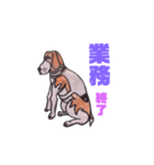 探知犬Quarantine Detector Dog（個別スタンプ：12）