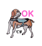 探知犬Quarantine Detector Dog（個別スタンプ：13）
