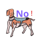 探知犬Quarantine Detector Dog（個別スタンプ：14）