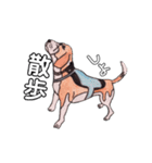 探知犬Quarantine Detector Dog（個別スタンプ：16）