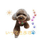 『増』かわいいメルのスタンプ（個別スタンプ：1）