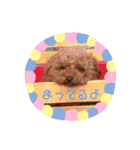 『増』かわいいメルのスタンプ（個別スタンプ：4）