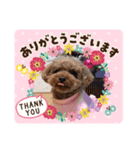 『増』かわいいメルのスタンプ（個別スタンプ：7）